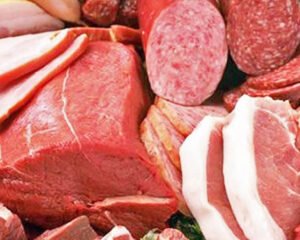 CARNE ANIMAL