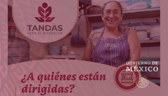 Explorando las Tandas para el Bienestar en México